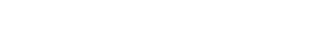 sv logo white