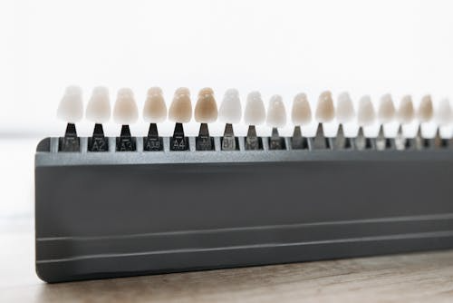 a palette of dental veneers
